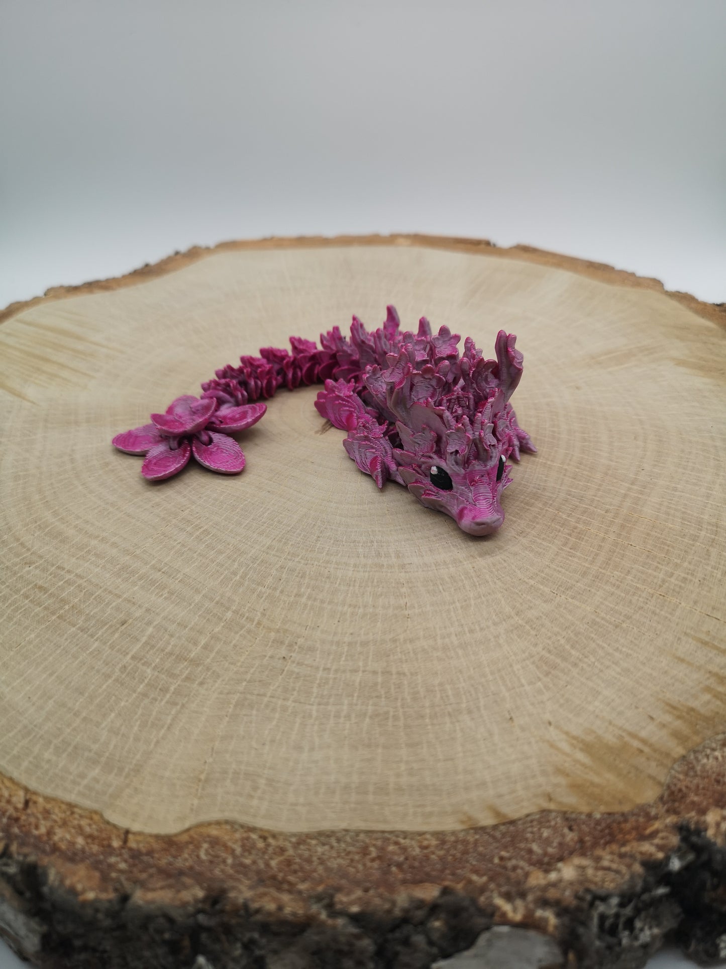 Cherry Blossom Dragon