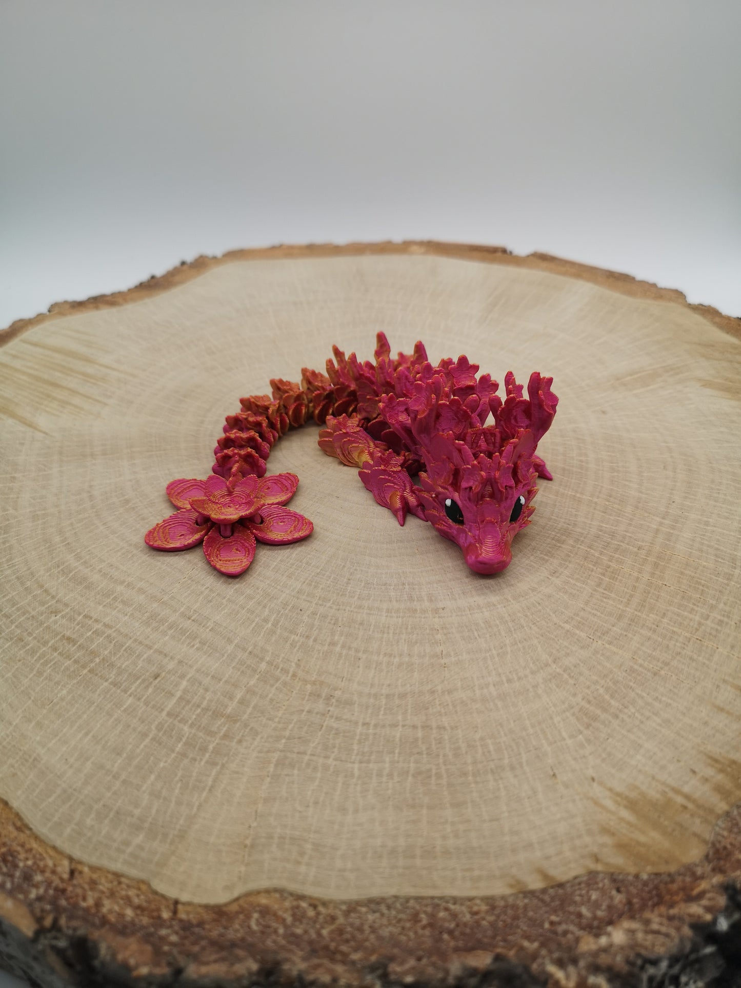 Cherry Blossom Dragon