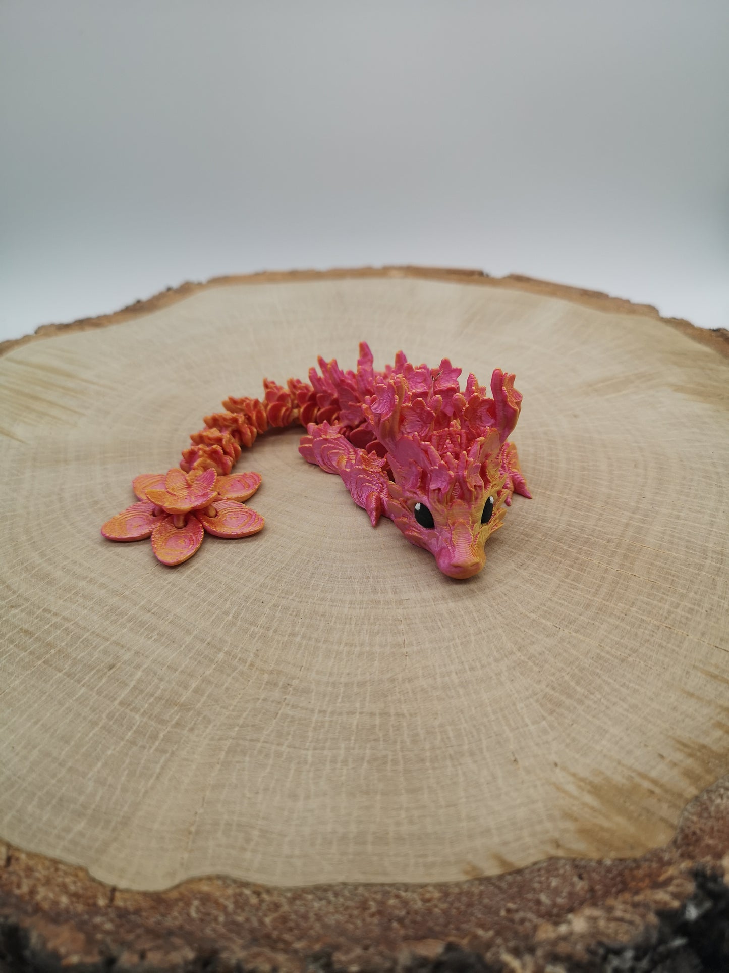 Cherry Blossom Dragon