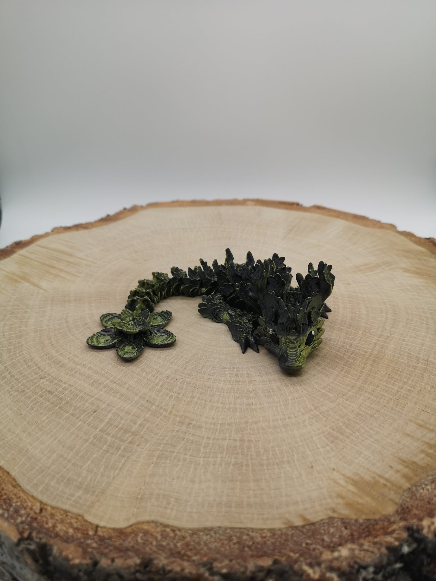 Cherry Blossom Dragon