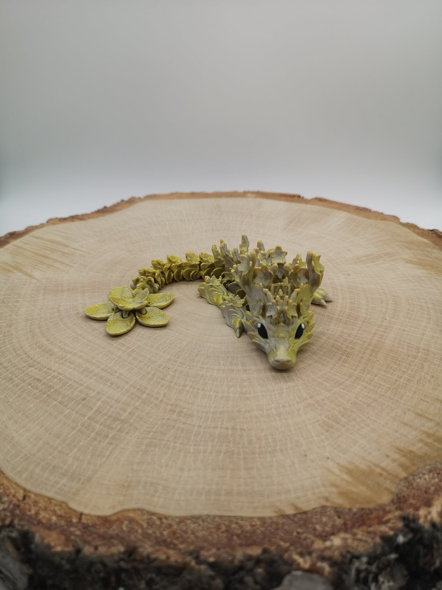 Cherry Blossom Dragon