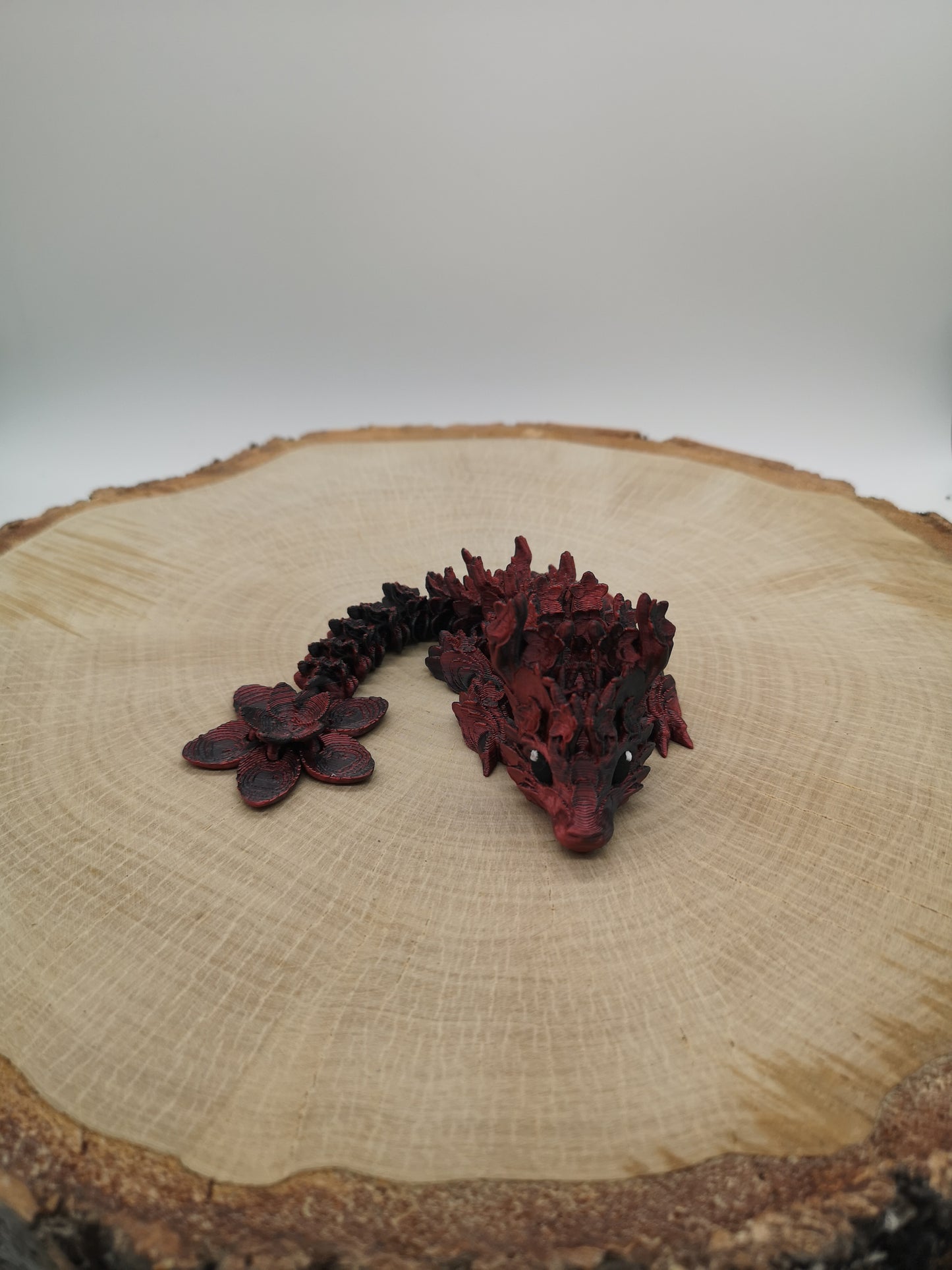 Cherry Blossom Dragon