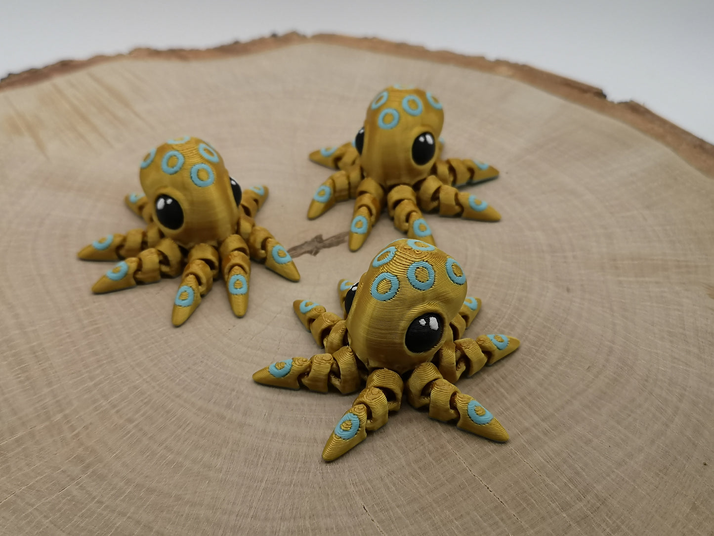 Bläckfisk (Ringbläckfisk)